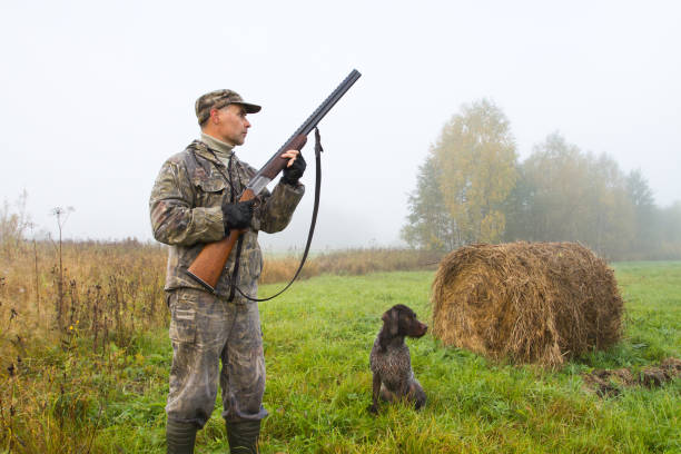 the hunter and his dog stopped in a mown meadow - hayfield imagens e fotografias de stock