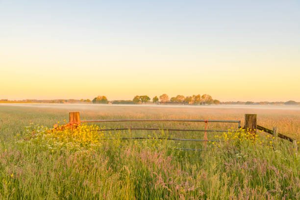 Early morning sunrise during a beautiful springtime day over the Zwartendijk, the old Zuiderzee levee in the IJsseldelta near Kampen in Overijssel The Netherlands.