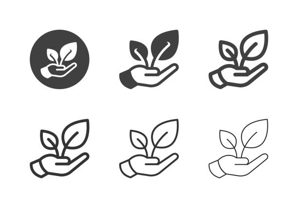 afforest icons - multi series - sustainability stock-grafiken, -clipart, -cartoons und -symbole