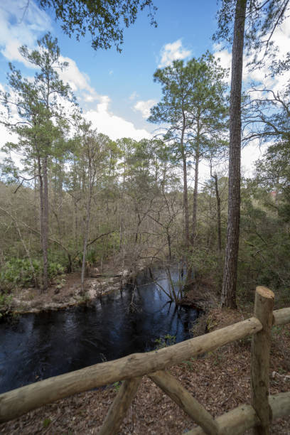 istock Dark water forest creek viewed from overlook with wood fencing 1320131319