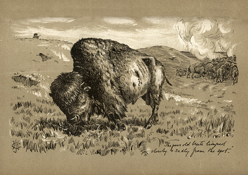 Vintage illustration of Hunting buffalo near Fort Wallace, Kansas, American Wild West, 19th Century. From Dethroned by Wilf Pocklington