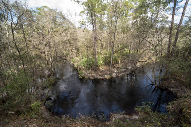 istock Elevated view of dark water creek curving through forest 1320131494