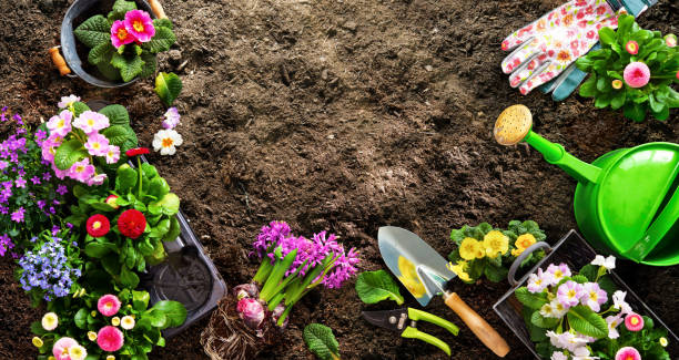 istock Planting spring flowers in the garden 1320131720