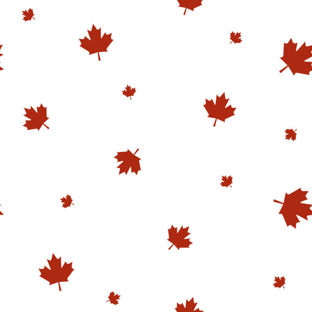 illustrazioni stock, clip art, cartoni animati e icone di tendenza di motivo senza cuciture con la foglia d'acero simbolo della bandiera canadese nei colori rosso e bianco. - canadian flag canadian culture canada people