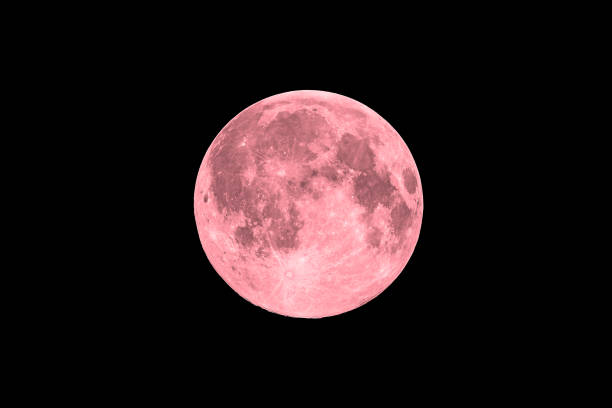 pink full super moon on black sky background - moon change eclipse cycle imagens e fotografias de stock