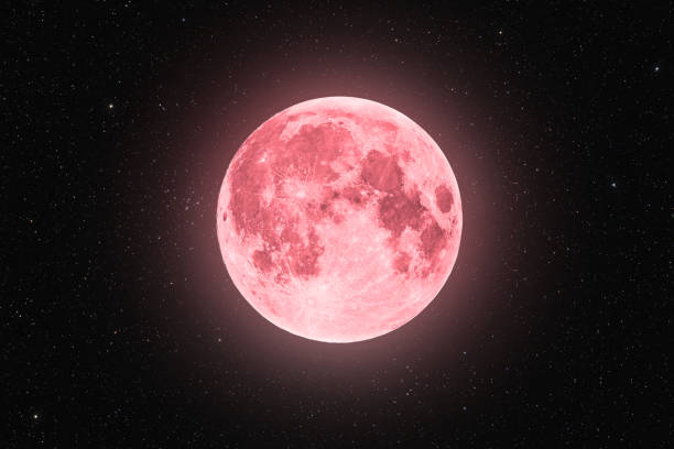 pink super moon against starry sky black background - moon change eclipse cycle imagens e fotografias de stock