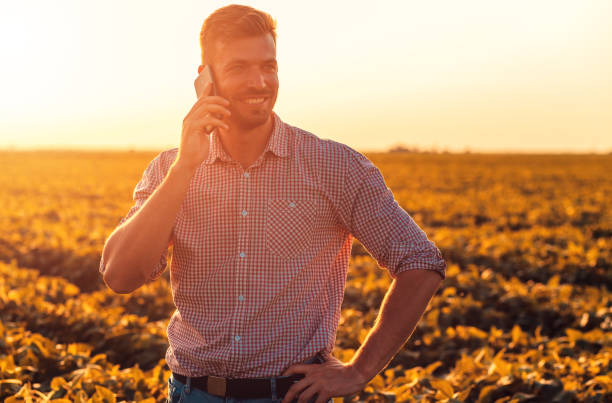 istock Farmer standing in filed examining soy corp. 1320135787