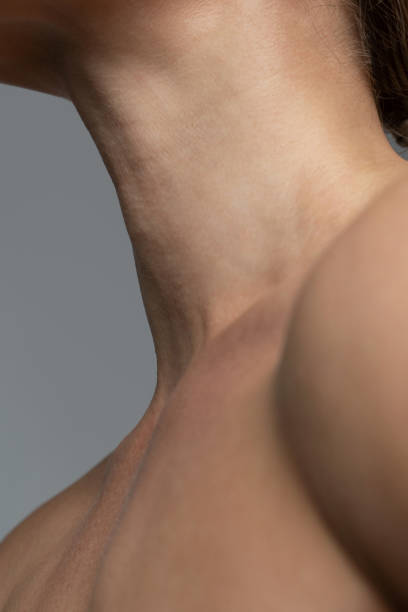pescoço feminino com uma pele macia - cleavage - fotografias e filmes do acervo