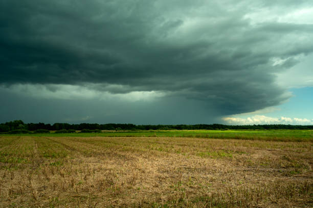 istock Storm cloud with rain over the fields, Czulczyce, Poland 1320136168