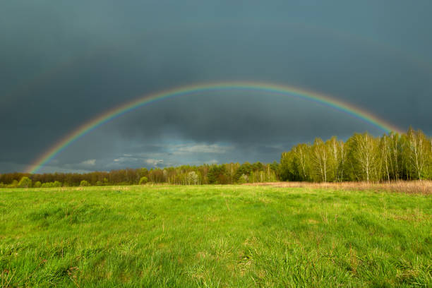 istock Rainbow on a background of clouds over the forest and meadow 1320136171