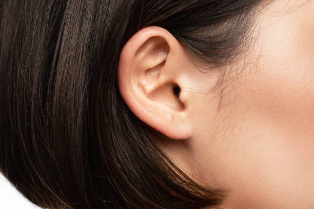 istock Closeup view of female ear 1320136202