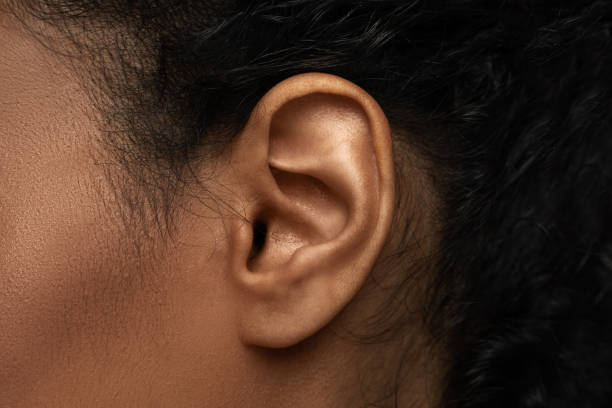 Closeup view of black female ear Body parts in details - Closeup view of black female ear Earlobe stock pictures, royalty-free photos & images