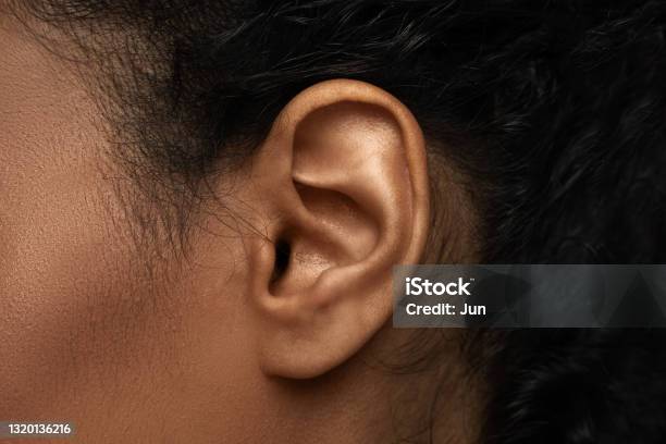 Closeup View Of Black Female Ear Stock Photo - Download Image Now - Ear, Close-up, Human Ear