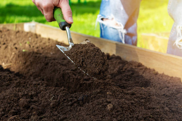 istock Small garden shovel in woman's hand. Close-up. 1320136263