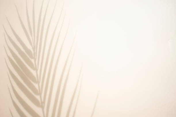 istock Palm leaves and shadows on a gold background. 1320138484