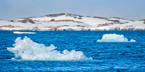 istock Drift floating Ice and Snowcapped Mountains, Arctic, Svalbard, Norway 1320138738