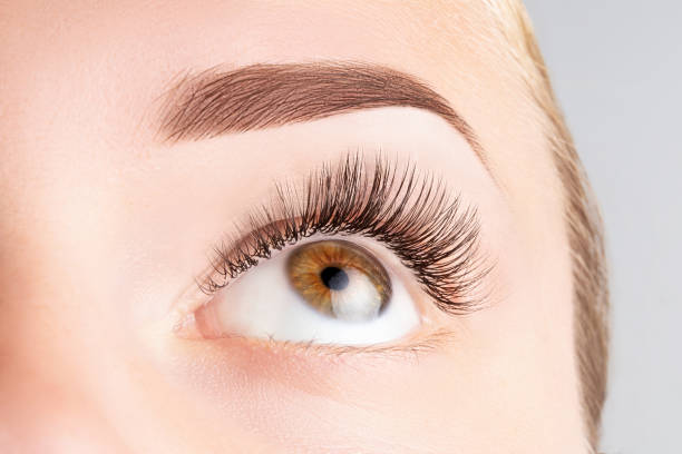 istock Female eye with long eyelashes. Classic 1D, 2D eyelash extensions and light brown eyebrow close up. Eyelash extensions, lamination, biowave, microblading concept 1320140253