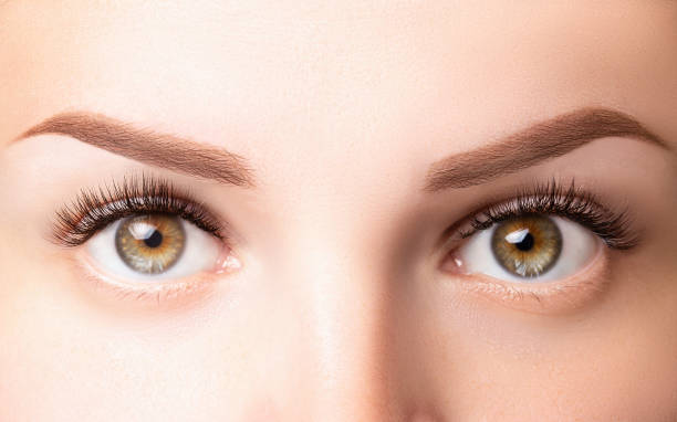 istock Female eyes with long eyelashes. Classic 1D, 2D eyelash extensions and light brown eyebrow close up. Eyelash extensions, lamination, biowave, microblading concept 1320140264