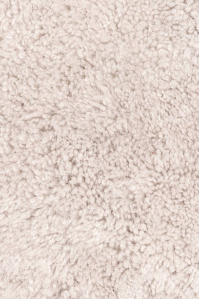 istock Beige wool texture background. Natural fluffy fur sheep wool skin texture. for background and wallpaper 1320141739