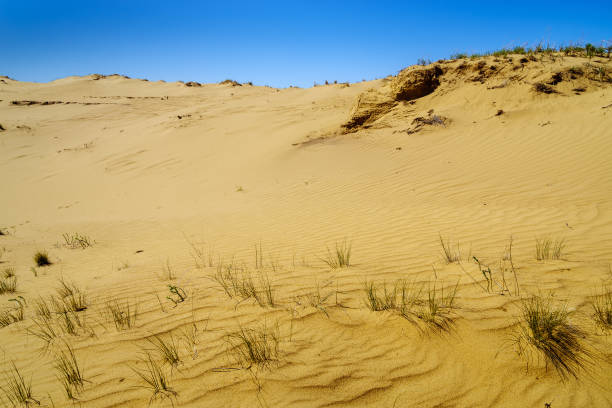 istock A section of the spring desert with sand dunes 1320142973