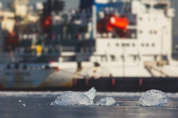 Scenery of the seabird which there is on the chain of the ship of the port of the day when it was fine