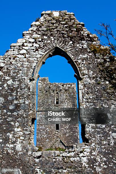 Kilcrea Friary Franciscana Cork Irlanda - Fotografias de stock e mais imagens de Abadia - Abadia, Arruinado, Condado de Cork