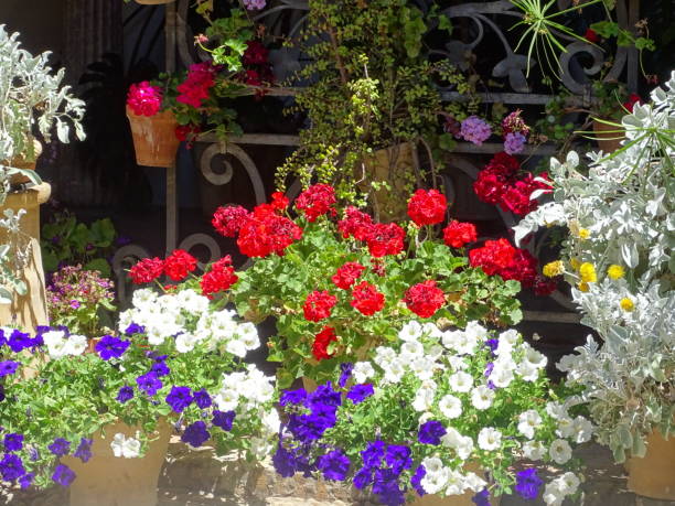 istock Flowers of La Alhambra 1320145595