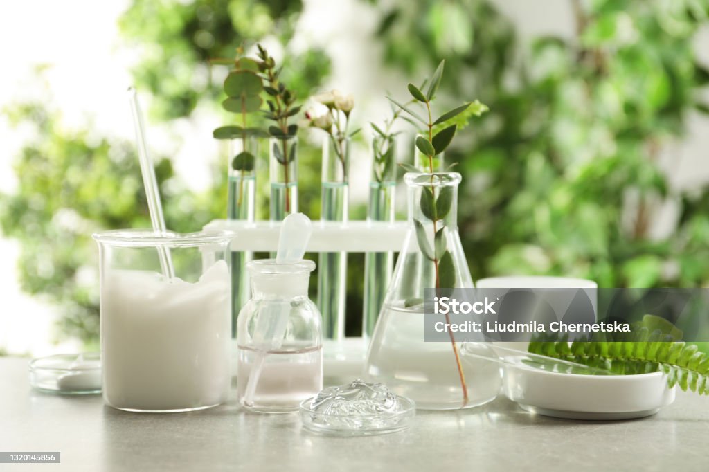 Natural ingredients for cosmetic products and laboratory glassware on grey table against blurred green background Beauty Product Stock Photo