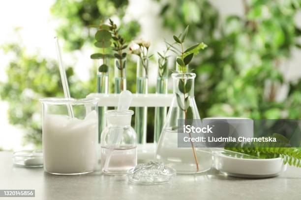 Natural Ingredients For Cosmetic Products And Laboratory Glassware On Grey Table Against Blurred Green Background Stock Photo - Download Image Now