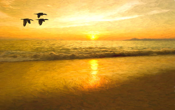 zachód słońca ocean birds malarstwo - egzotyczny ptak obrazy zdjęcia i obrazy z banku zdjęć