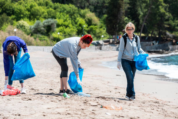 istock Group of  people cleaning beach area 1320150751