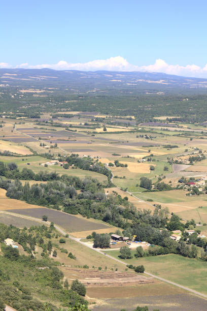 вид с воздуха на регион прованс во франции - lavender coloured lavender provence alpes cote dazur field стоковые фото и изображения