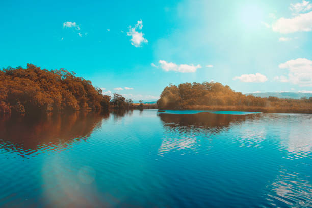 The black river in Jamaica