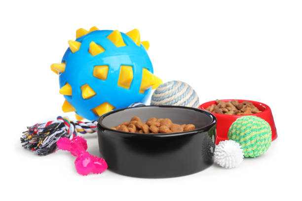 istock Feeding bowls and toys for pet on white background 1320153601