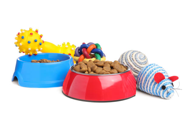 karmienie misek i zabawek dla zwierząt domowych na białym tle - domestic cat animals feeding pet food food zdjęcia i obrazy z banku zdjęć