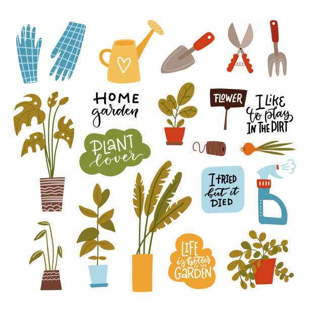 Set of home gardening tools isolated on white background. Bundle of equipment for agricultural work, houseplant cultivation or transplantation, work in home garden. Flat cartoon vector illustration. Set of home gardening tools isolated on white background. Bundle of equipment for agricultural work, houseplant cultivation or transplantation, work in home garden. Flat cartoon vector illustration art name plates stock illustrations