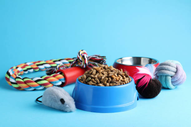 istock Feeding bowls and toys for pet on light blue  background 1320154340