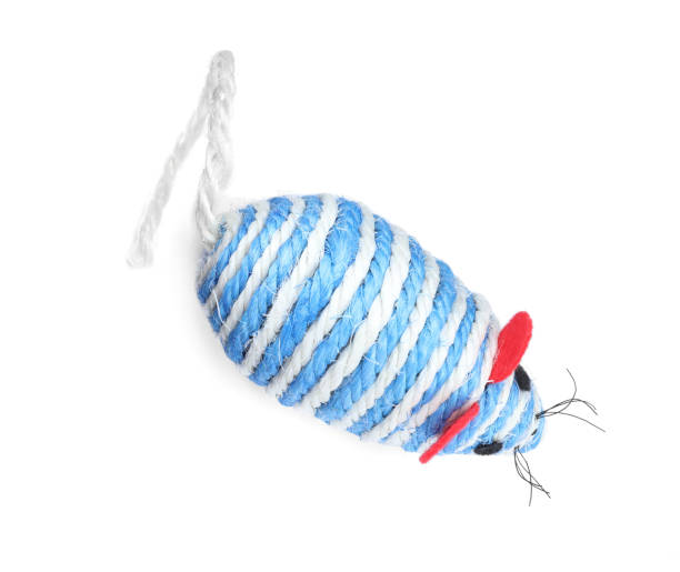 istock Modern toy for pet isolated on white, top view 1320155162