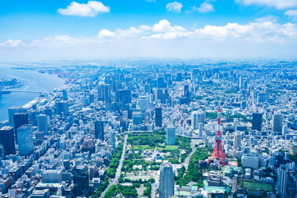 istock Aerial view of central Tokyo 1320155348