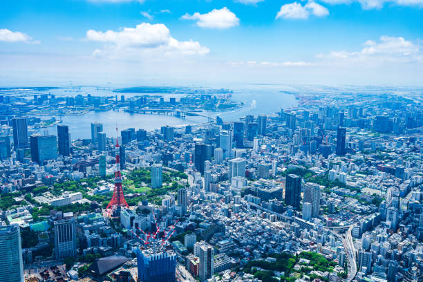 istock Aerial view of central Tokyo 1320155353