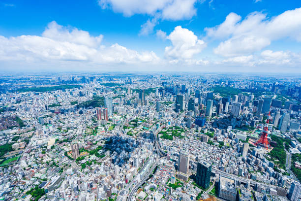 istock Aerial view of central Tokyo 1320155354