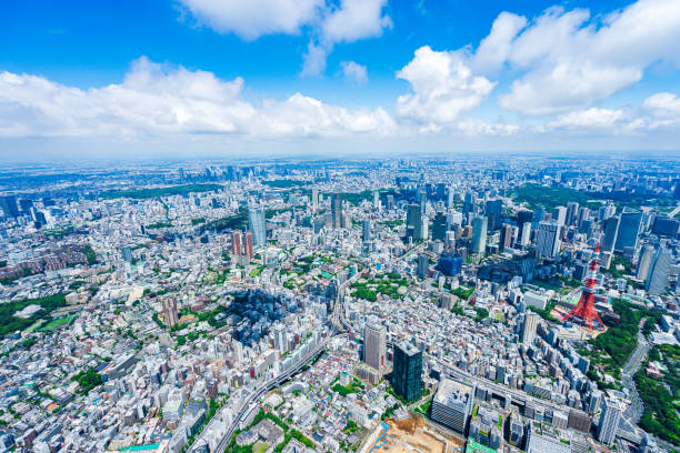 istock Aerial view of central Tokyo 1320155358