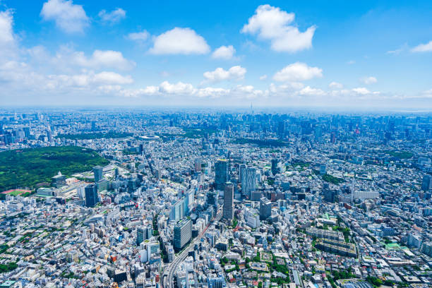 istock Aerial view of central Tokyo 1320155361