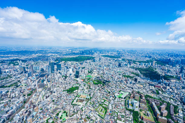 istock Aerial view of central Tokyo 1320155363