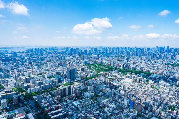 istock Aerial view of central Tokyo 1320155370