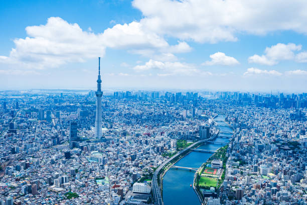 istock Aerial view of central Tokyo 1320155373
