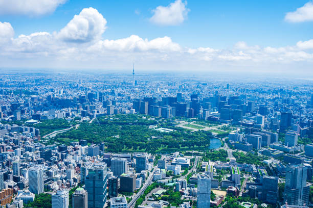 istock Aerial view of central Tokyo 1320155374