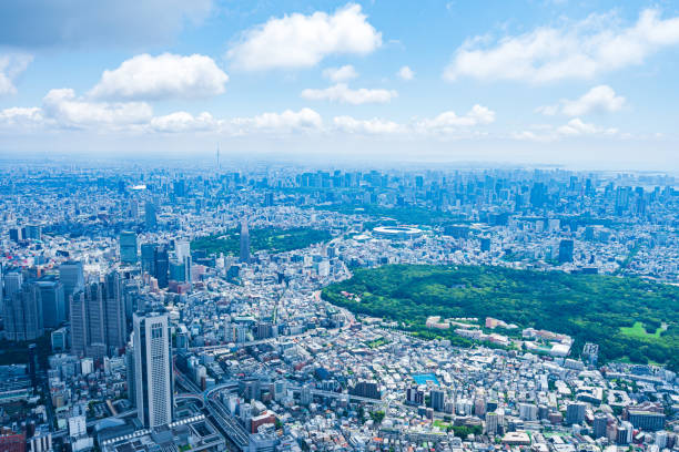 istock Aerial view of central Tokyo 1320155381