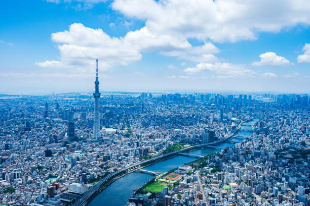 istock Aerial view of central Tokyo 1320155384