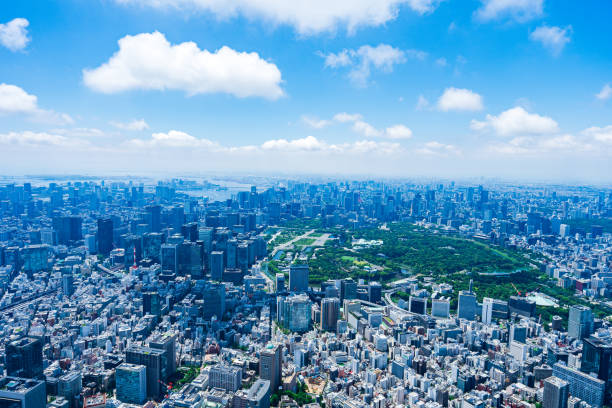 istock Aerial view of central Tokyo 1320155386